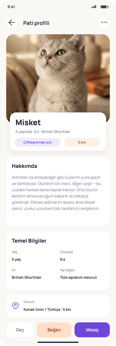 Pavmio Profil kartı ekranı