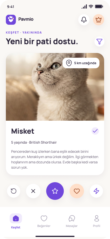 Pavmio Ana sayfa ekranı