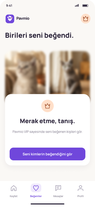 Pavmio Beğeniler ekranı