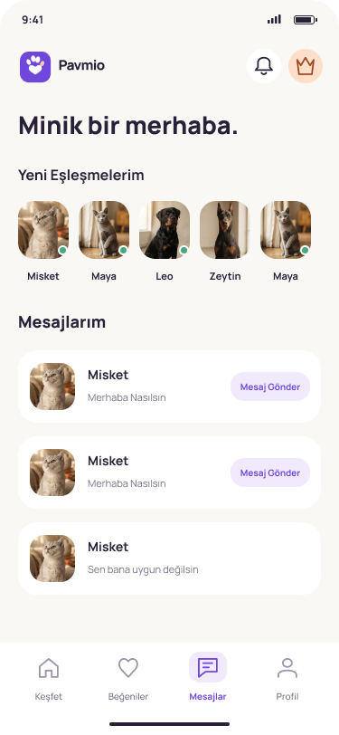 Pavmio Eşleşmeler ekranı